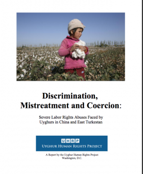 歧视、不公待遇、强制劳动：在东突厥斯坦、中国维吾尔人就业权被肆意践踏