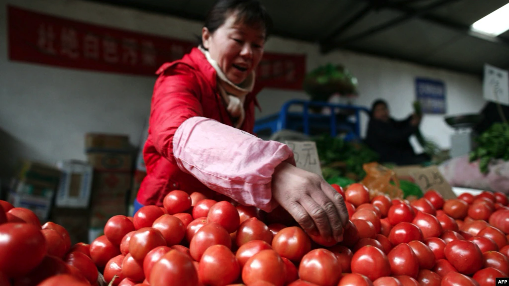 日本最大蕃茄酱生产商停止从新疆采购蕃茄