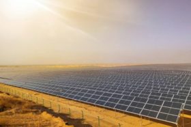 加拿大两家再生能源公司涉新疆强迫劳动