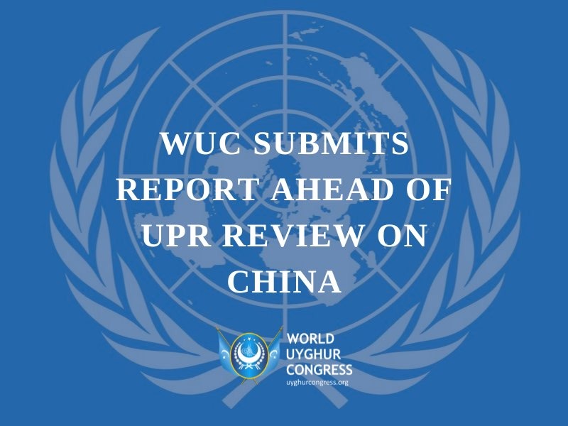 世维会提交关于中国的普遍定期审议报告